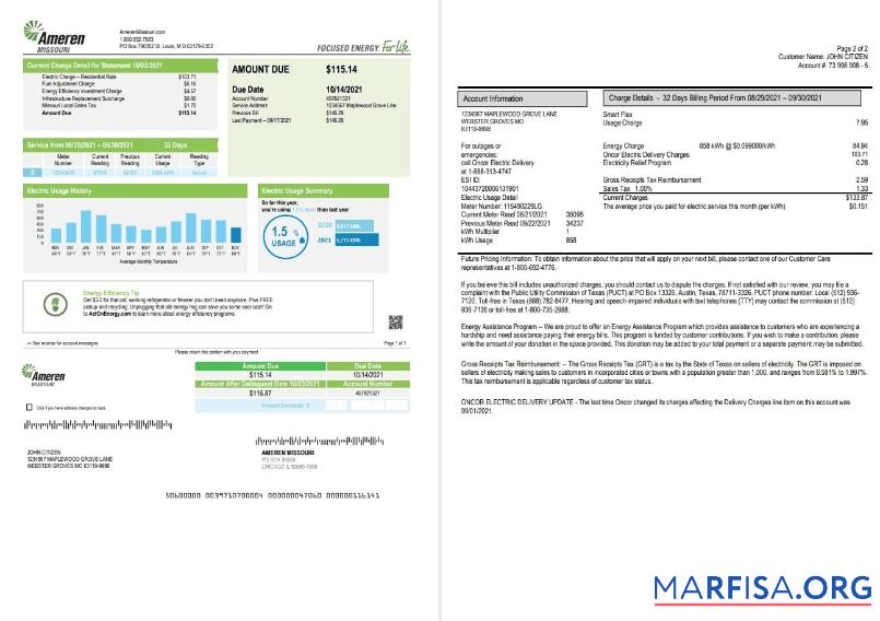 Downloadable USA Ameren Missouri electricity utility bill template in Word and PDF format (2 pages)